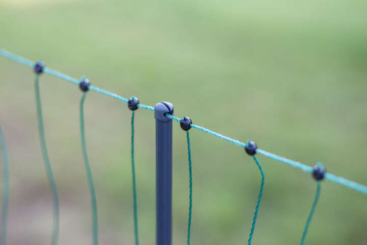 AKO Geflügelnetz PoultryNet Premium Doppelspitze